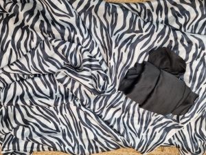 Zebra Print Satin Georgette Saree