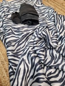 Zebra Print Satin Georgette Saree