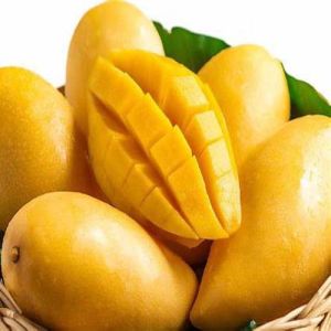 Fresh Alphonso Mango