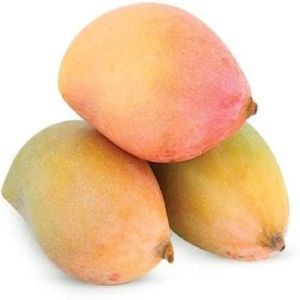 Fresh Totapuri Mango