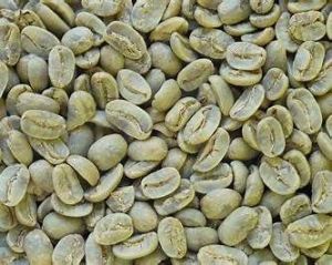 Green Coffee Beans