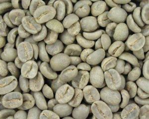 Green Coffee Beans