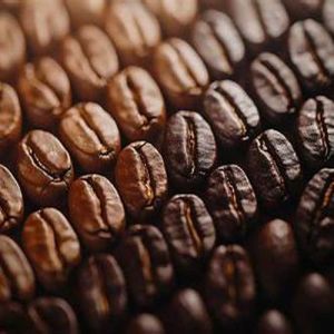 Roasted Coffee Beans