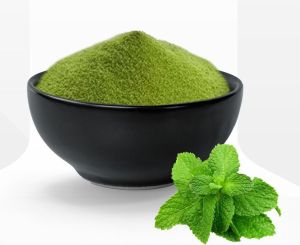 Dehydrated Mint Leaf Powder