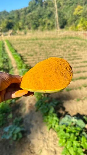 pure turmeric powder