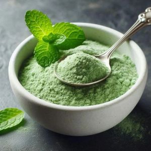 Dehydrated Mint Leaves Powder