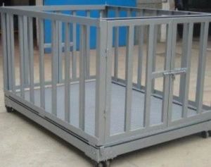Cow Calf Cage
