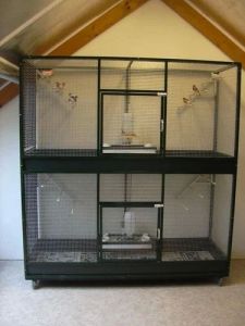 Fully Detachable Cage