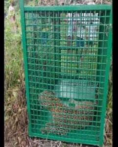 Leopard Trapping Cage