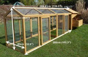 Parrot Cage