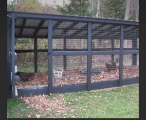 Parrot Cage
