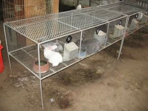 Rabbit Cage