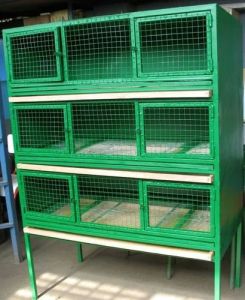 Rabbit Cage
