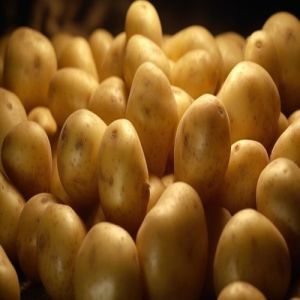 Fresh White Potatoes