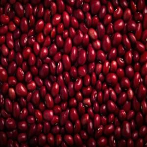Red Rajma Beans