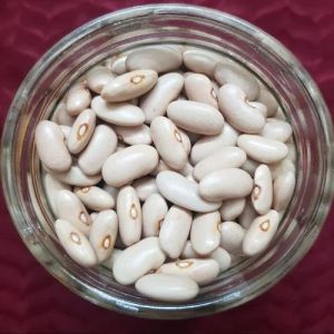 White Kidney Beans