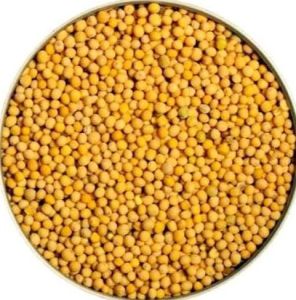 Yellow Mustard Seeds