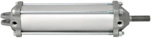 Tail Gate Cylinders