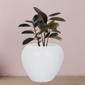 8 Inch White Apple Flower Pot