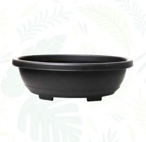 Black Bonsai Oval Planter