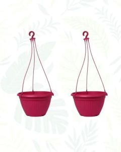 Pink Bello Hanging Planter