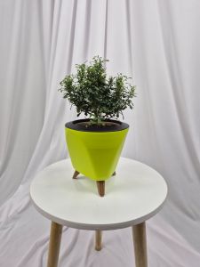 Plastic Green Lagos Flower Pot