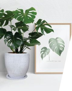 Round Casa Plastic Planter