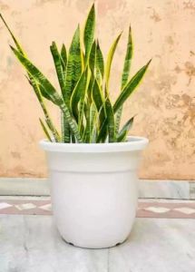 14 Inch Round White Deluxe Flower Pot