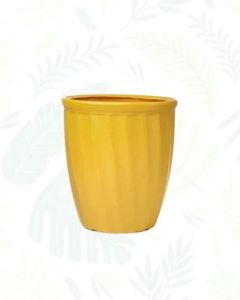 Yellow Kyiv Planter