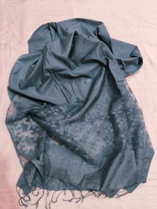 Ladies Organza Silk Embroidered Dupatta