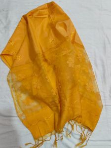 Ladies Organza Silk Embroidered Dupatta