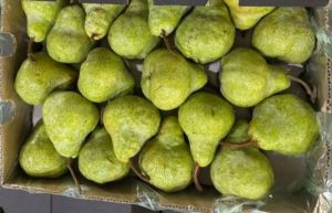 Fresh Pears