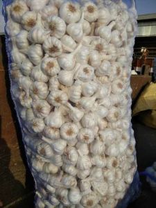 Fresh White Garlic