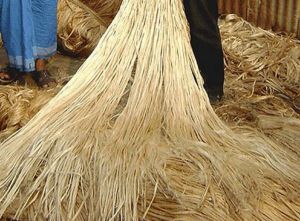 Raw Jute Fiber