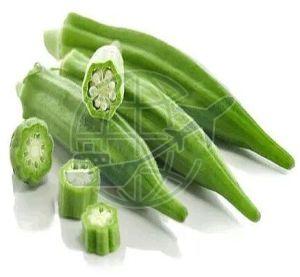A Grade Fresh Okra