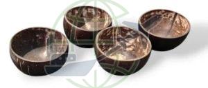 Coconut Shell Bowl