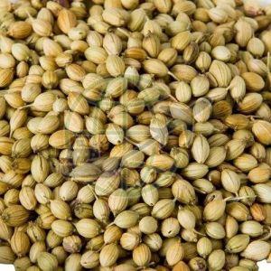 Coriander Seeds