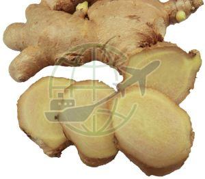 Fresh A Grade Ginger