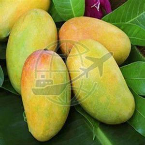 Fresh Indian Kesar Mango