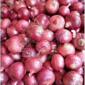 Fresh Nashik Red Onion