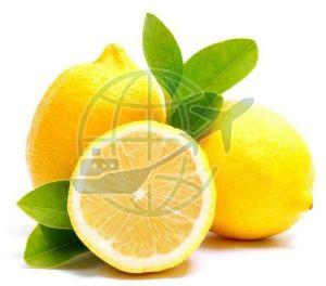 Fresh Yellow Lemon