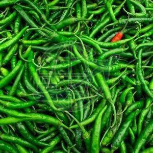 G4 Fresh Green Chilli