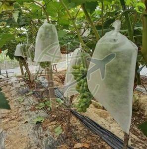 Non Woven Fruit Protection Bag