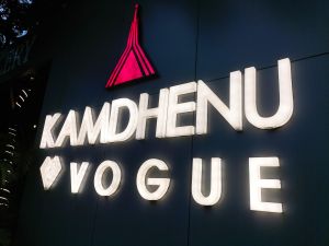 Commercial Outdoor LED Acrylic Channel Letter Branding Sign Board