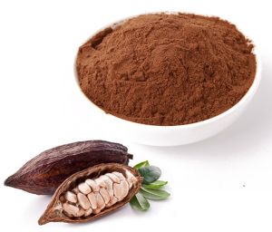 Cocoa Bean Dry Extract 10% Theobromin