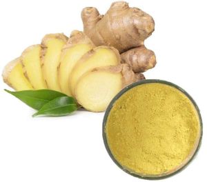 Dry Ginger Extract