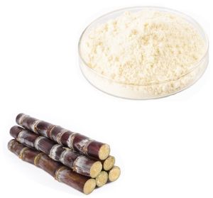 Sugarcan Wax Extract 60% Octacosanol
