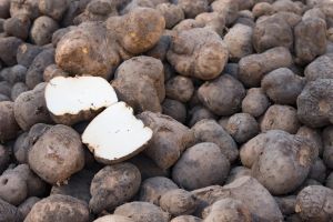 Fresh Yam