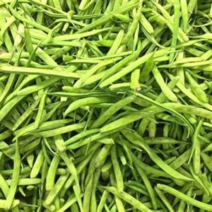 Guar Gum