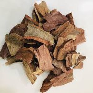 Arjun Bark Extract